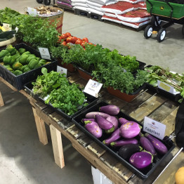FarmShare-CSA-Week 3-1200x900_1215-004_1