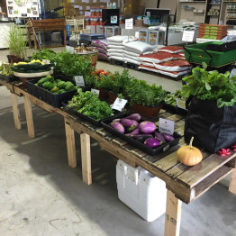 FarmShare-CSA-Week 3-1200x900_1215-030_1