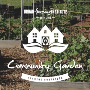 community-garden-main-img