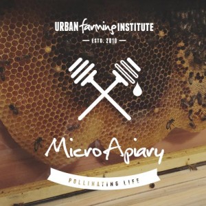 micro-apiary-main-img