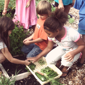 schools-in-garden