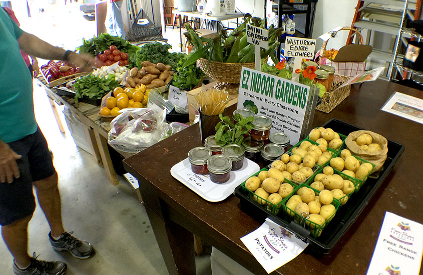Warehouse Market at the Urban Farming Institute
