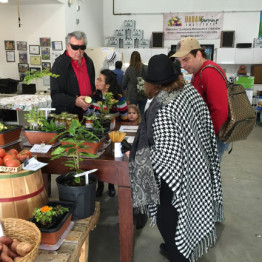 Mirco Bee Apiary Groundbreaking at the Urban Farming Institute
