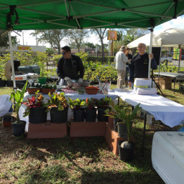 Mirco Bee Apiary Groundbreaking at the Urban Farming Institute