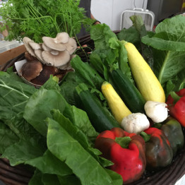 FarmShare-Adventure-CSA-Week4_1215-002