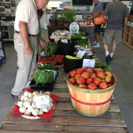 FarmShare-Adventure-CSA-Week4_1215-009