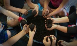 Growers Academy by the Urban Farming Institute