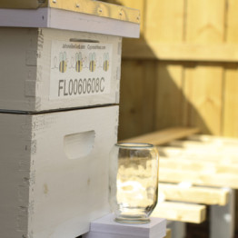 Micro Bee Apiary Groundbreaking Ceremony at the Urban Farming Institute
