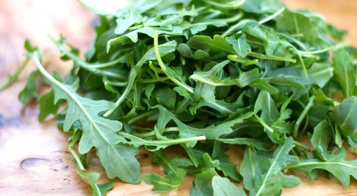 Arugula, Rocket (Roquette) - Urban Farming Institute