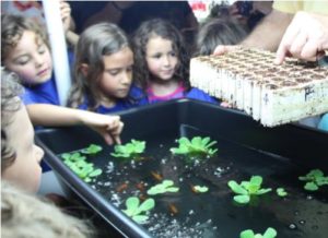 Aquaponics Field Trips Urban Farming Institute